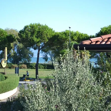 Katy Sirmione